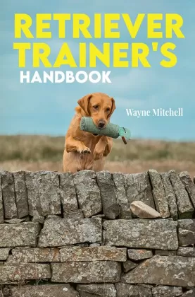 The Book Publishing Pros